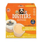 Dogsters Launches New Pumpkin Flavored Ice Cream Style Treat for Dogs